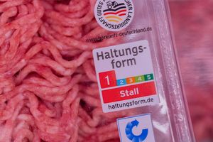 Bei Haltungsform 1 gelten die gesetzlichen Mindestanforderungen. (Archivbild) - Foto: Rolf Vennenbernd/dpa