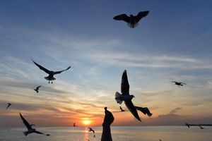 Sonnige Reiseziele sind laut Dertour besonders gefragt. (Archivbild) - Foto: Rachen Sageamsak/XinHua/dpa