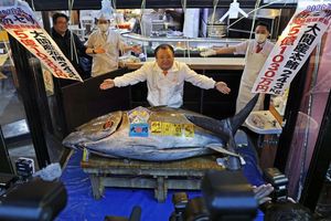 Für den Betreiber einer Sushi-Restaurantkette ist der gezahlte Rekordpreis eine geschickte PR-Aktion. - Foto: -/kyodo/dpa