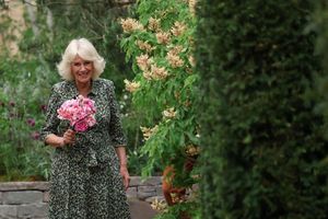 Königin Camilla hält die «King's Rose». - Foto: Toby Melville/PA Wire/dpa