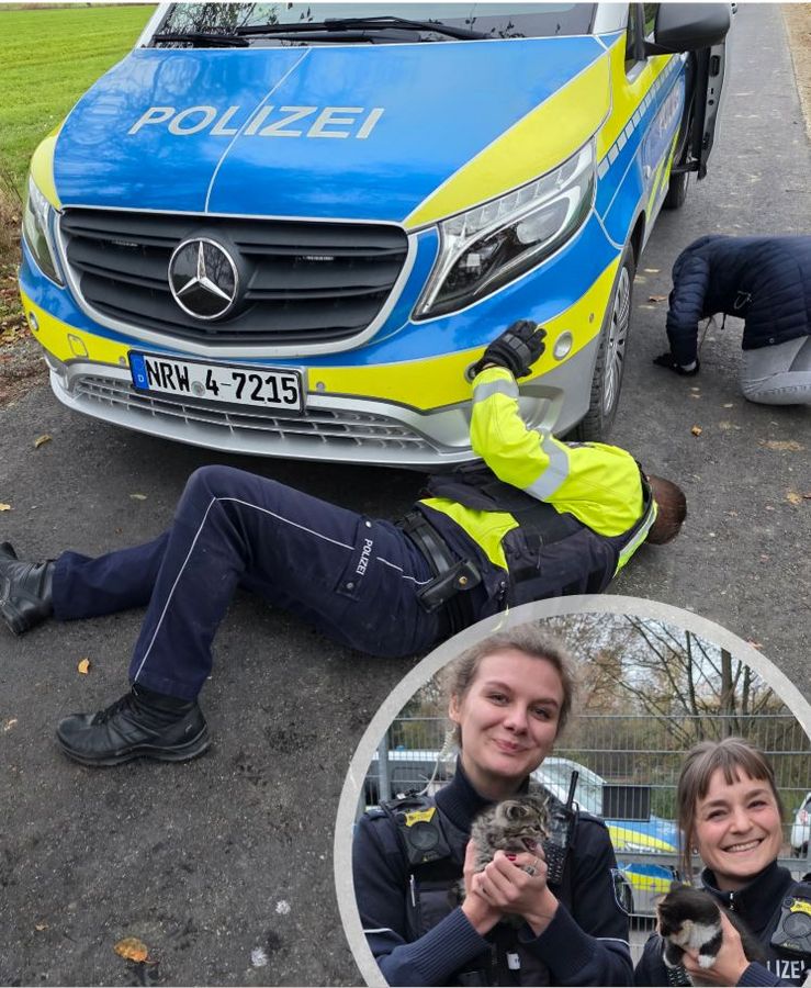 Stolze Retter nach tierischem Einsatz: Die Polizei sicherte bei einem kuriosen Einsatz sechs ausgesetzte Katzenbabys. Fotos: Polizei Kreis Soest