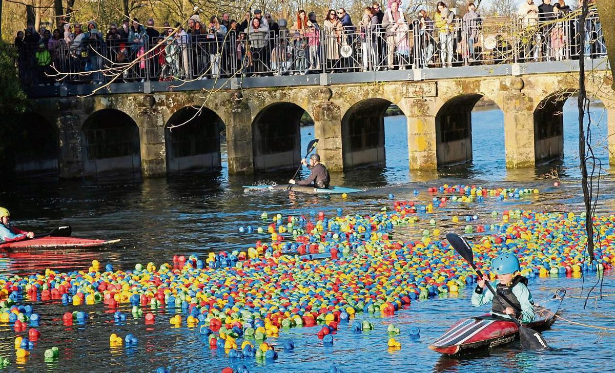 Nach fünf Jahren Pause konnte wieder das beliebte Entenrennen in seiner klassischen Form stattfinden. Zahlreicher Helfer am, im und auf dem Wasser sorgten für einen reibungslosen Ablauf. Fotos: Puls