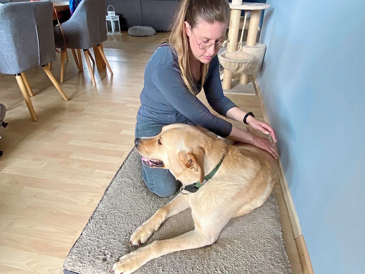 Faszien-Therapie: Sabrina Werneke behandelt Bruno mit gezielten Griffen. 