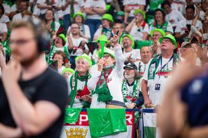 Der Fanclub der Füchse Berlin sorgt bei jedem Heimspiel für ordentlich Lärm. (Archivbild) - Foto: Noah Wedel/dpa