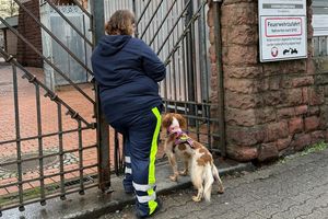 Auch mit Hilfe eines Hundes wurde der Junge gesucht. - Foto: Isabell Scheuplein/dpa