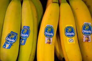 Bananen von Chiquita liegen in einem Supermarktregal in Bayern. (Archivbild) - Foto: Sven Hoppe/dpa