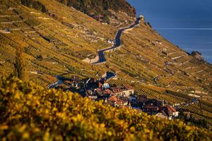 Der Kanton Waadt ist durch Weinanbau geprägt. (Archivbild) - Foto: Jean-Christophe Bott/KEYSTONE/dpa