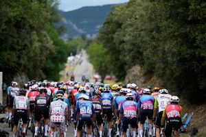 Die Fahrer auf der 17. Etappe der Tour de France auf dem Weg nach Valence. - Foto: Mosa'ab Elshamy/AP/dpa
