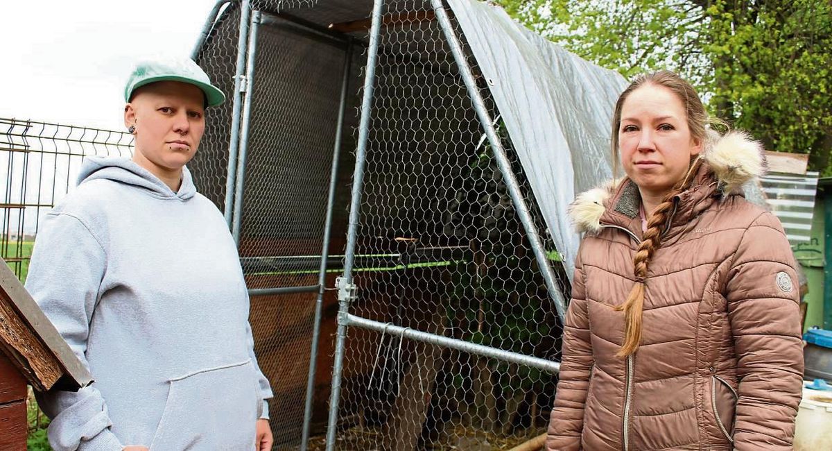 Seit Dienstag steht der Hühnerstall leer. Caroline Winkler und Tatjana Naumann (v.l.) von Tacas Seelenhof können es nicht fassen, dass mit einem Schlag alle Hühner tot, beziehungsweise verschwunden, sind. Foto: Meschede