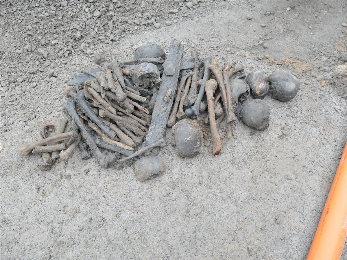 Bei Bauarbeiten in Herzfeld haben Bauarbeiter 15 menschliche Schädel und eine Vielzahl Knochen gefunden. Foto: Polizei Kreis Soest
