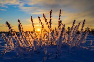 Sonne und kalte Luft erwarten die Meteorologen zum Wochenbeginn. (Archivbild) - Foto: Patrick Pleul/dpa