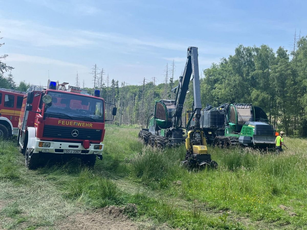 Gegen 19.30 Uhr am Samstagabend galt der Waldbrand in Möhnesee als gelöscht. Foto: Feuerwehr Lippetal