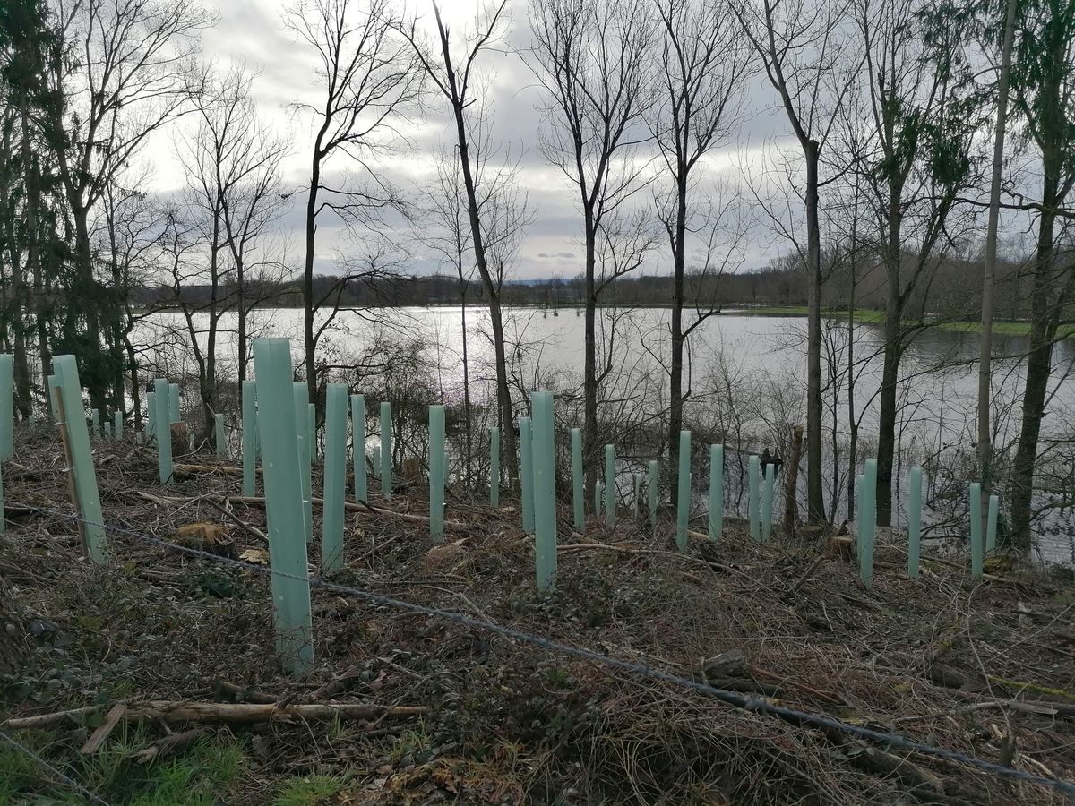 Auenwald am Hof Baumhoers in Liesborn-Göttingen Fotos: Zölfl