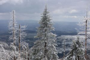Im Mittelgebirge ist mit viel Neuschnee zu rechnen. - Foto: Matthias Bein/dpa