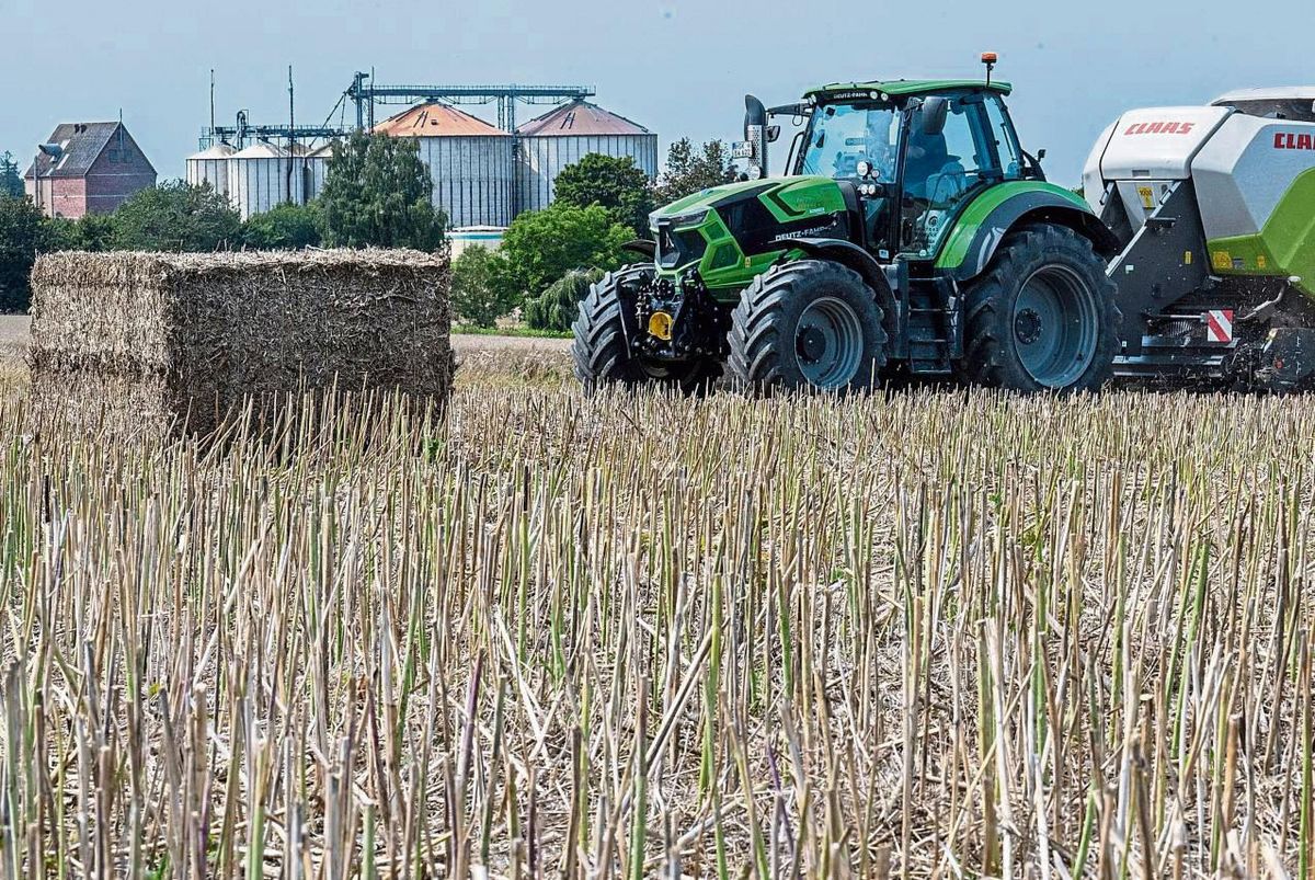 Der Bedarf an Stroh ist höher geworden. Dadurch wird zunehmend auch Rapsstroh zu Ballen gepresst. Foto: Dahm