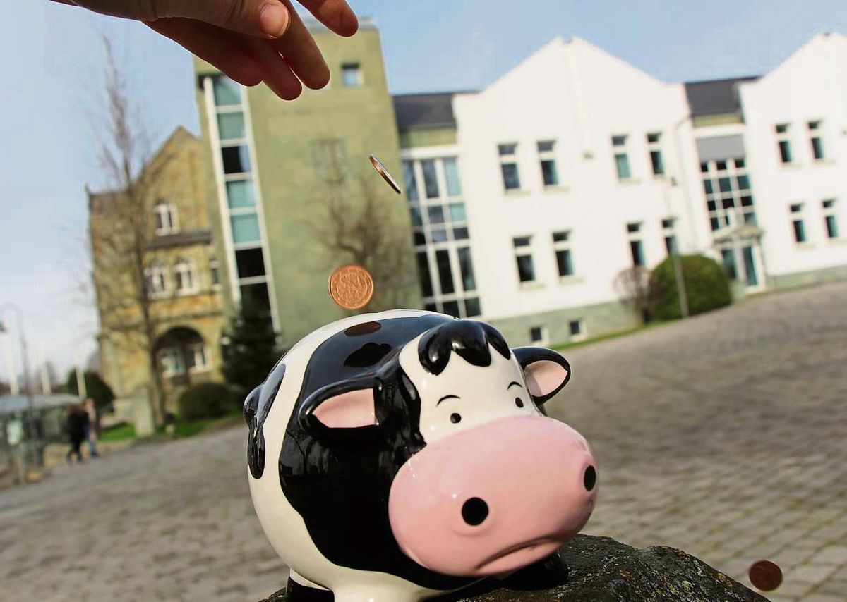 Nicht viel zu lachen hat die Sparkuh. In der Gemeinde Anröchte zählt schließlich jeder Cent. Foto: Löseke