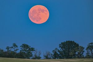 Blassroter Mond am Abendhimmel. (Archivbild) - Foto: Patrick Pleul/dpa