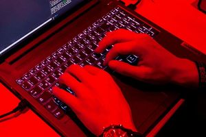 Treiber der Digitalwirtschaft ist laut Bitkom besonders Software. (Symbolbild) - Foto: Daniel Bockwoldt/dpa