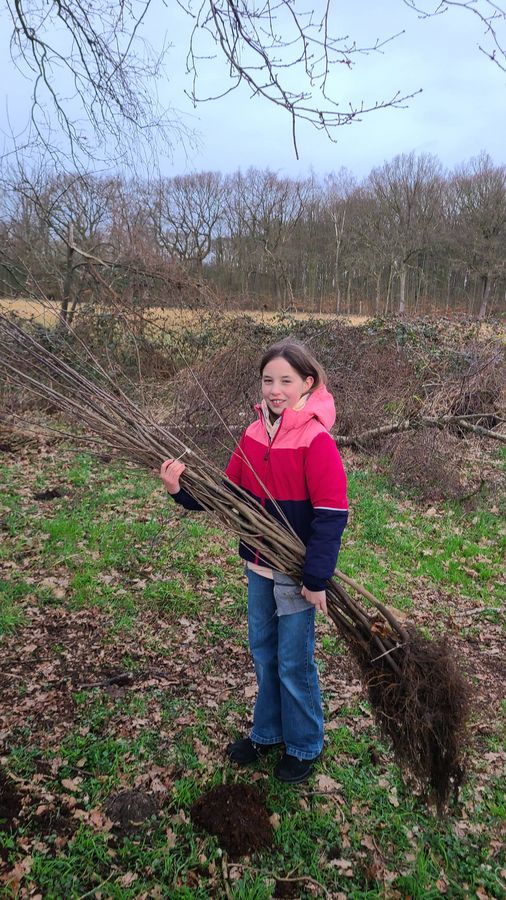 Marie Wollesen half bei der Pflanzaktion kräftig mit. Foto: Wollesen