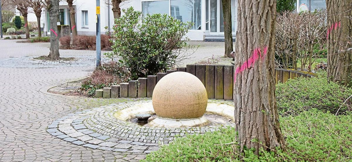 Pink, wohin das Auge reicht. Die Bäume, die gefällt werden sollen, wurden entsprechend markiert – also fast alle, bis auf einen einzigen. Foto: Puls
