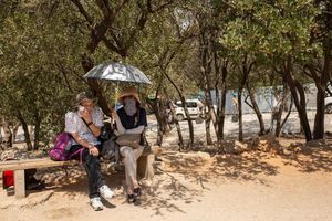 Touristen sitzen unter Bäumen am Eingang der Akropolis in Athen. - Foto: Socrates Baltagiannis/dpa