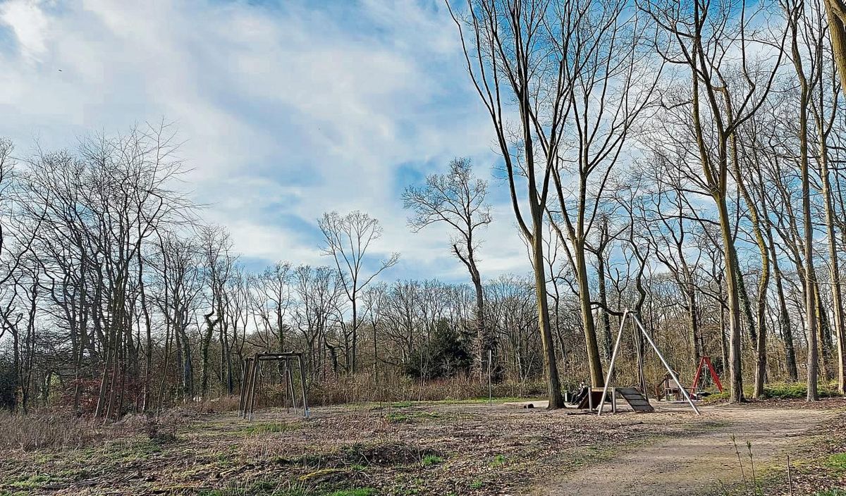 Eine große Lücke schlug der Tornado, als er vor knapp zwei Jahren über den Stadtwald hinwegfegte und dabei auch den Spielplatz auf dem Gelände des ehemaligen Tiergartens zum großen Teil verwüstete. Foto: Heienbrok