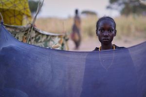 UN-Hochkommissar Volker Türk: Die internationale Gemeinschaft hat die Menschen in Al-Faschir im Stich gelassen. (Archivbild) - Foto: Mohammed Jammal/UNICEF/AP/dpa