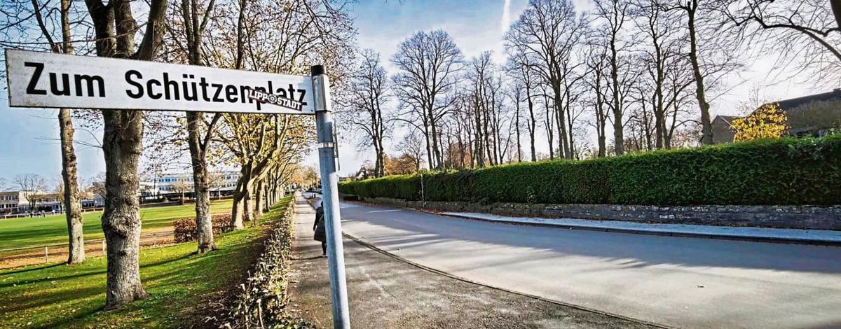 Die Hecke am Kapellenweg sei in großen Teilen abgestorben und habe an Standfestigkeit verloren, argumentiert die Anröchter Gemeindeverwaltung.