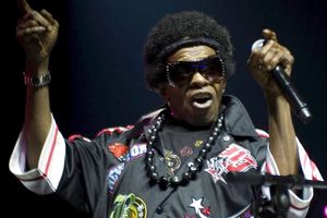 Beeinflusste die Funkmusik: Sly Stone ist im Alter von 82 Jahren gestorben. (Archivfoto) - Foto: Joelle Diderich/epa/dpa