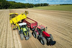 Die Kartoffelbauern haben in diesem Jahr eine sehr gute Ernte eingefahren - es sind sogar zu viele Kartoffeln, die Preise sind relativ schlecht. (Archivfoto) - Foto: Jan Woitas/dpa