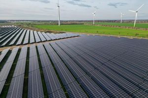 Erneuerbare Energien werden in diesem Jahr laut einer Hochrechnung knapp 56 Prozent des Stromverbrauchs decken. (Symbolbild) - Foto: Jan Woitas/dpa