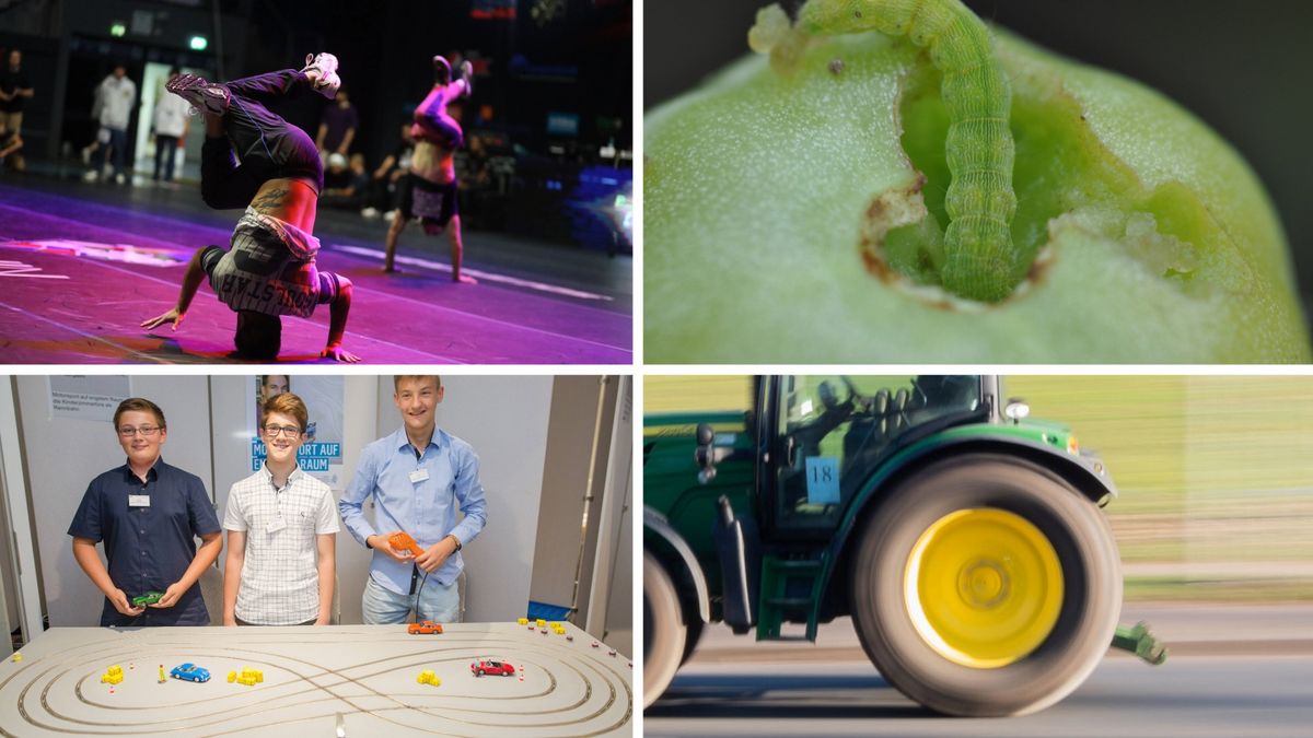 Vier Bilder, vier Kirmesattraktionen: Zur Herbstwoche verlosen wir 35 Bummelpässe. Wer gewinnen möchte, muss die harte Rätselnuss knacken und um die Ecke denken. Welche vier Herbstwochen-Attraktionen suchen wir? Symbolfotos: dpa