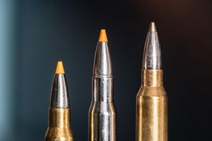 Jagdpatronen im Kaliber 308 Winchester (l-r), 30-06 Springfield und 300 Winchester Magnum stehen bei einem Jäger auf einem Waffenschrank. (Symbolbild) - Foto: Silas Stein/dpa