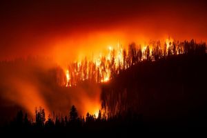 Das «Garnet Fire» bedroht Riesenmammutbäume im Waldgebiet McKinley Grove. - Foto: Noah Berger/FR34727 AP/AP/dpa