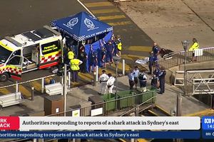 Nach einem mutmaßlichen Haiangriff ist ein Junge in kritischem Zustand. - Foto: Supplied/AUSTRALIAN BROADCASTING CORPORATION (ABC) via AAP Image/dpa