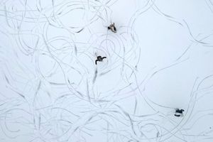 Muster im Schnee: Eine Luftaufnahme zeigt Schlittschuhläufer auf einem zugefrorenen See in Österreich. - Foto: Helmut Fohringer/APA/dpa