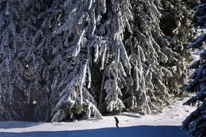 Verglichen mit früheren Jahren fällt nicht nur weniger Schnee, er schmilzt auch schneller dahin. (Archivbild) - Foto: Karl-Josef Hildenbrand/dpa