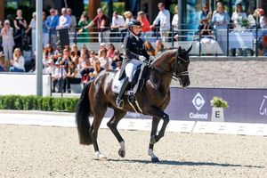 Gold verpasst: Isabell Werth musste sich mit Bronze begnügen. - Foto: Lafrentz Stefan/dpa