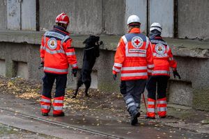 Mehrere Rettungshundestaffeln suchen in Güstrow nach einem Jungen. - Foto: Stefan Sauer/dpa