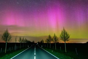 Seltenes Naturschauspiel: In der vergangenen Nacht waren Polarlichter über Teilen von Brandenburg zu sehen. - Foto: Patrick Pleul/dpa
