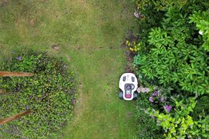 Naturschützer warnen davor, dass Mähroboter eine Gefahr sein können - vor allem für nachtaktive Tiere. (Symbolbild) - Foto: Sascha Thelen/dpa