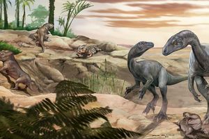 Künstlerische Darstellung des Dinosauriers Huayracursor jaguensis - Foto: Jorge Blanco/CONICET Argentina/dpa