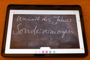 Mit dem «Unwort des Jahres» soll auf unangemessene Formen des öffentlichen Sprachgebrauchs aufmerksam gemacht werden. - Foto: Christian Lademann/dpa