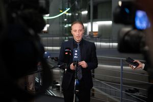 Der Vorsitzende des Wahlprüfungsausschusses erläuterte, warum die Einsprüche des BSW unbegründet seien. - Foto: Sebastian Christoph Gollnow/dpa