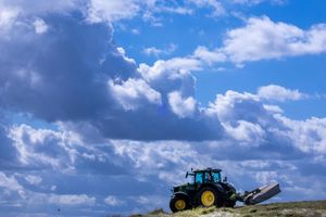 Es lohnt sich oft nicht: Die Produktionskosten für Agrarprodukte liegen teils über den Verkaufspreisen. (Archivbild) - Foto: Jens Büttner/dpa