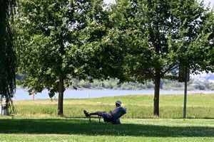 Ein Mann hat sich ein schattiges Plätzchen am Ufer des Rheins in Leverkusen gesucht. (Archivbild) - Foto: Roberto Pfeil/dpa
