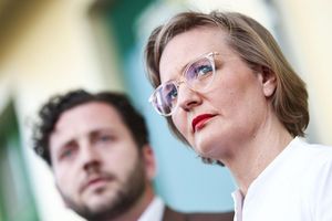 Für die Grünen ist der Bericht ihrer internen Kommission nicht schmeichelhaft. - Foto: Hannes P. Albert/dpa