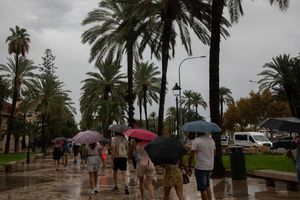 Kein Urlaubswetter auf Mallorca. - Foto: Clara Margais/dpa