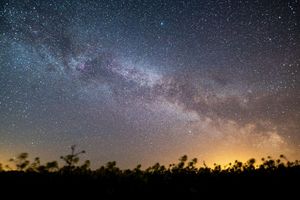 Der Sternenhimmel leuchtet über einem Rapsfeld. Laut Nasa könnte sich in den kommenden Monaten ein Himmelsspektakel ereignen - eine sogenannte Nova-Explosion. - Foto: Daniel Reinhardt/dpa
