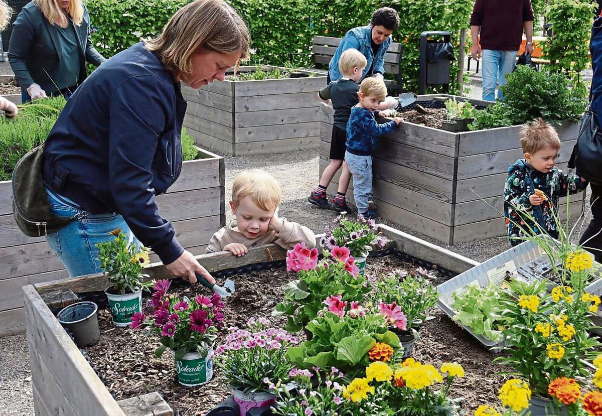 Bei der Pflanzaktion im alten Amtsgarten in Anröchte hatte nicht nur jeder Spaß, sondern konnte auch das Gemeindebild verschönern. Foto: Bertermann